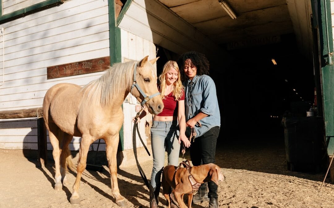 Les Meilleures Pratiques pour Gérer et Nourrir vos Leads avec LeadPropulse